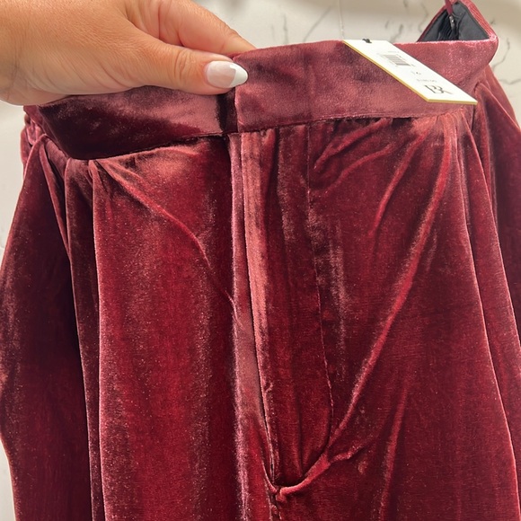 Banana Republic NWT Norte Velvet Pleated Pant - Picture 5 of 10